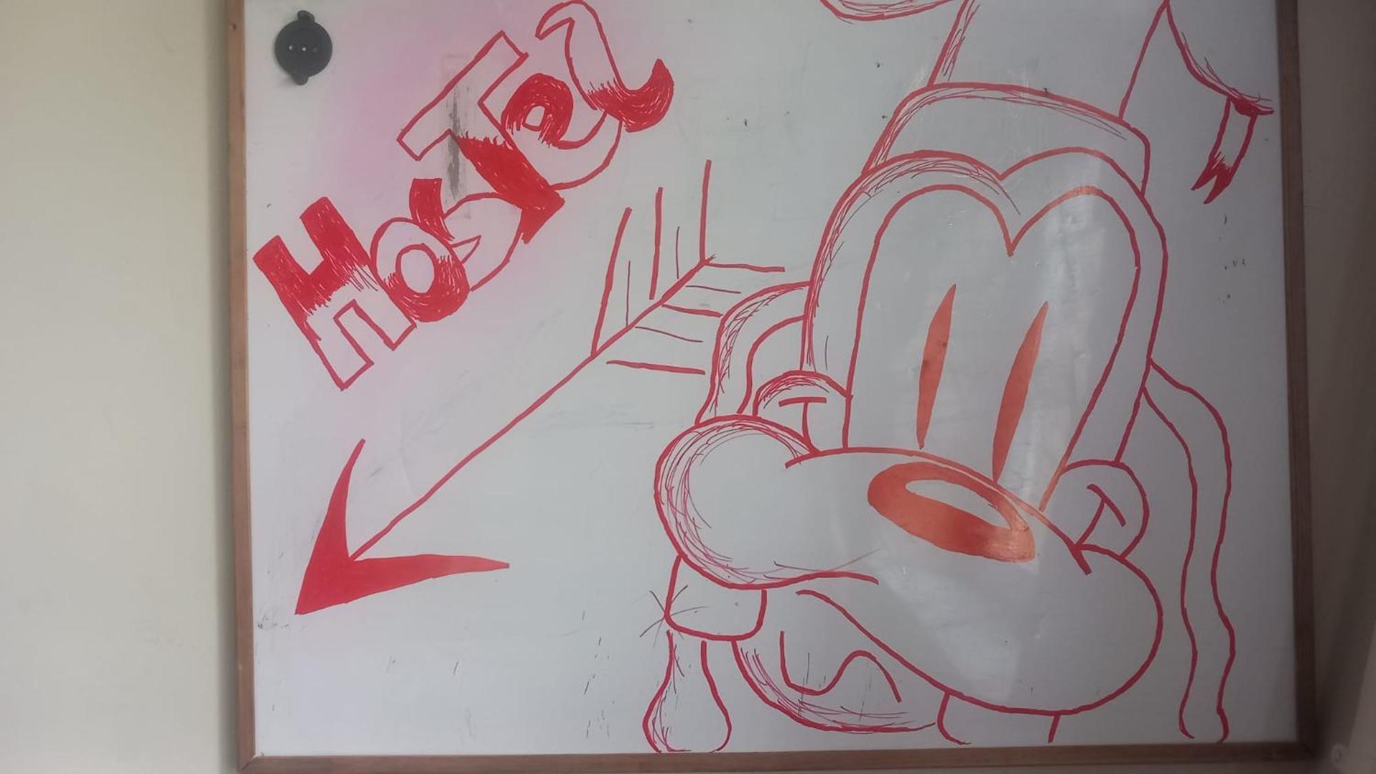 Lemon Tree Hostel — Photos 2